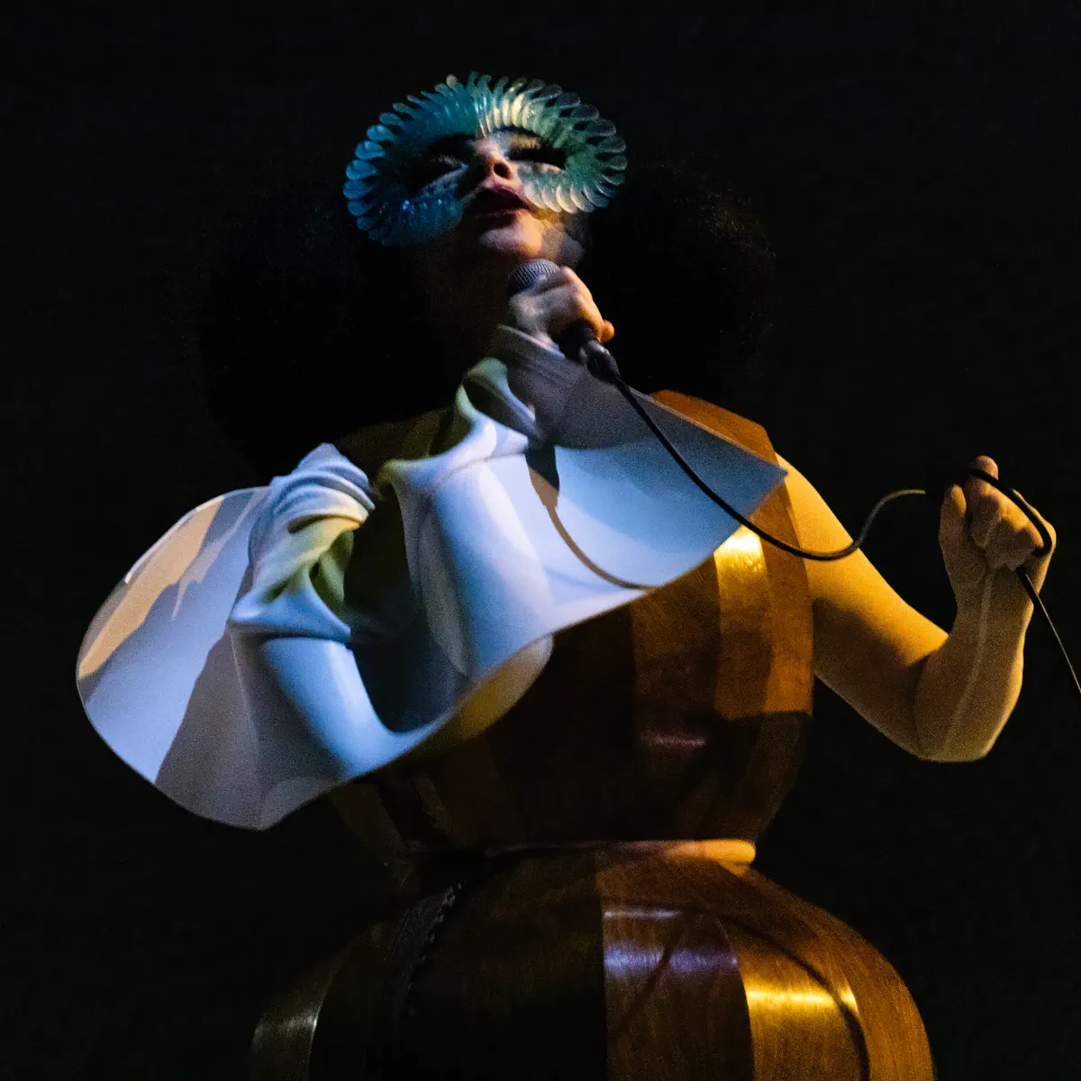 Björk