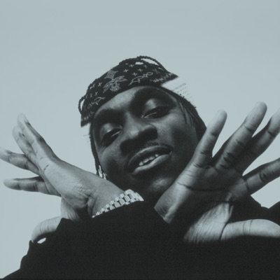 收听 Pusha T、观看音乐视频、阅读小传、查看巡演日期等 ！