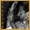 Hozier - Too Sweet