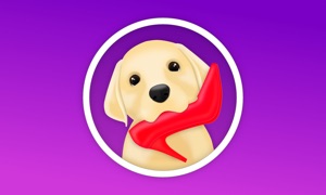 Pet Monitor VIGI