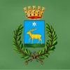 MyCervaro icon