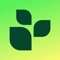 Lifesum Food & Calorie Tracker