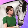 Equestrian the Game icon