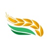 Gluten Free Global icon