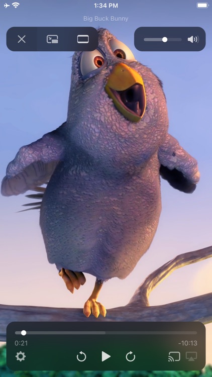 Infuse screenshot-6
