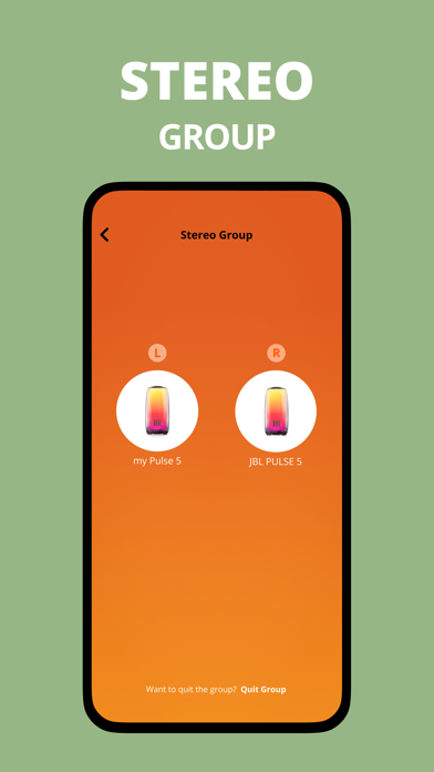 JBL Portable Screenshot