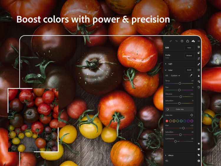 Adobe Lightroom for iPad screenshot-7