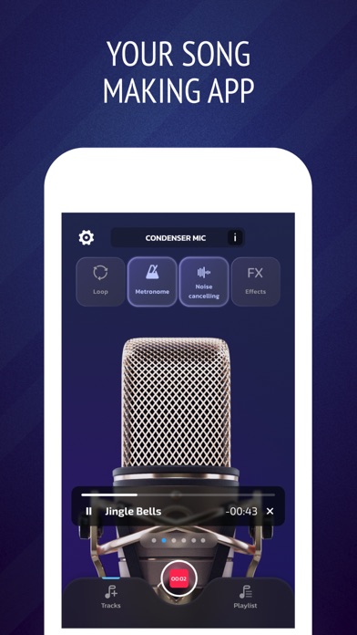 Pro Microphone: Voice Record Screenshot