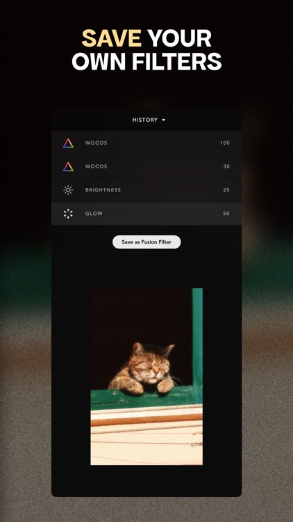 Afterlight: Film Photo Editor screenshot-3